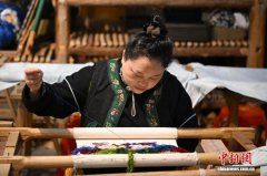 武陵深处绣“苗花” 指尖淬“韧”待春深